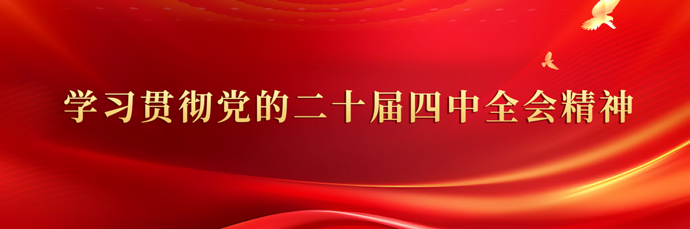 学习贯彻党的二十届四中全会精神
